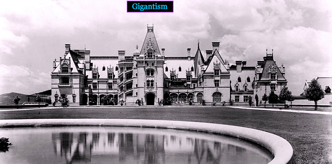 Biltmore Estate, 1890